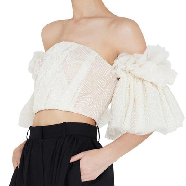 Off Shoulder Embroidery Flare Sleeve Crop Top