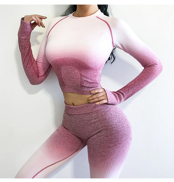Two Piece Ombre Seamless Gradient Yoga Leggings and Long sleeve Gym Top