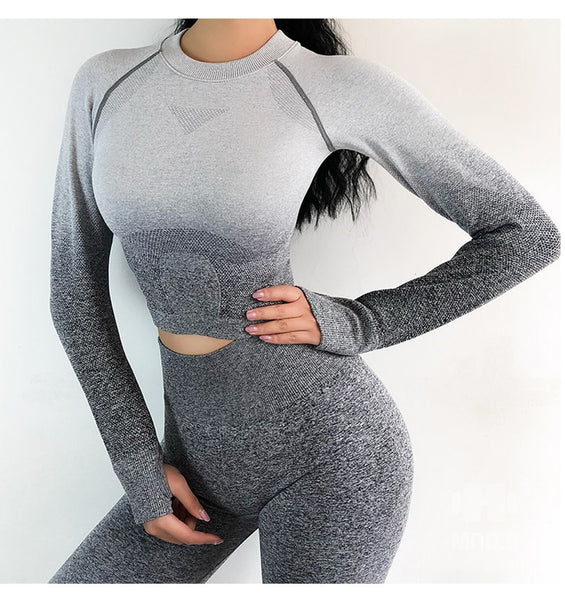 Two Piece Ombre Seamless Gradient Yoga Leggings and Long sleeve Gym Top