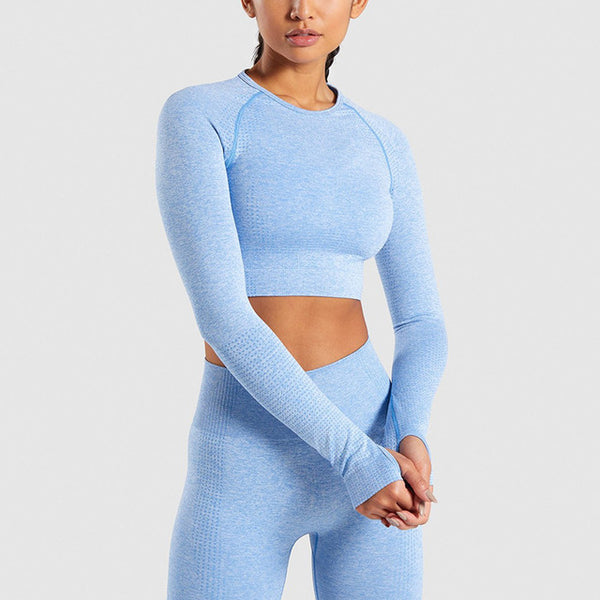 Two Piece Long Sleeve Crop Top and Leggings Gym Set