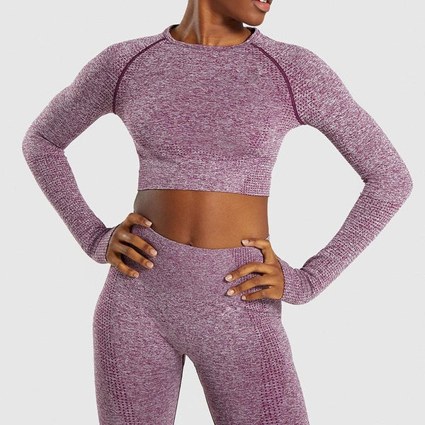 Two Piece Long Sleeve Crop Top and Leggings Gym Set